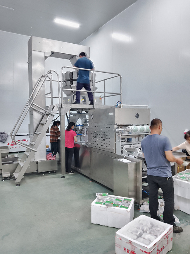 Blog công ty mới nhất về Lắp đặt Máy đóng gói khí quyển biến đổi MAP Multi-head Scale Conveyor cho nấm tươi