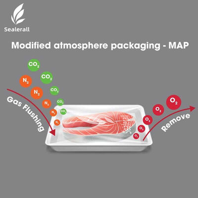 Mua Máy đóng gói thùng nhựa hộp nhỏ gọn Máy niêm phong thùng thực phẩm online manufacture