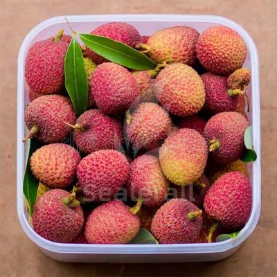 Mua Máy đóng gói khí quyển biến đổi bằng thép không gỉ cho quả vải tươi sản xuất trực tuyến